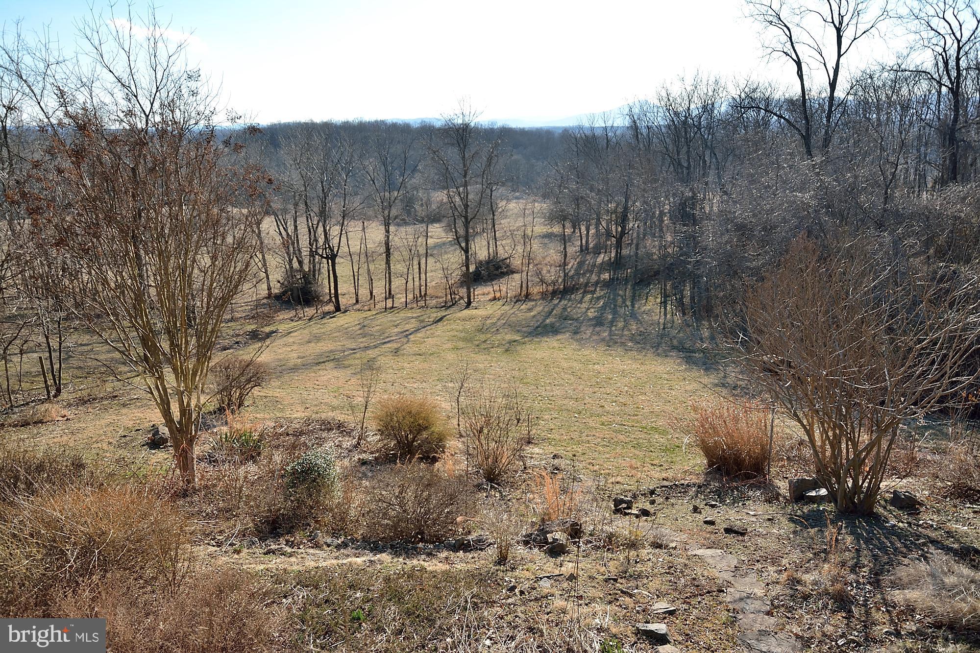 11278 Silo Road Marshall, VA 20115 - Photo 42 of 50 Serenity!