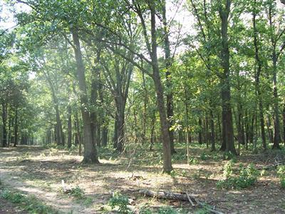 0 Hunt Road Farmington, MO 63640 - Photo 12 of 14
