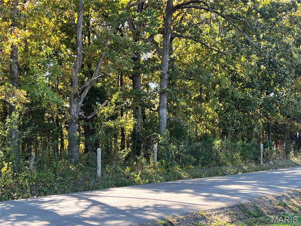 0 Hunt Road Farmington, MO 63640 - Photo 4 of 14