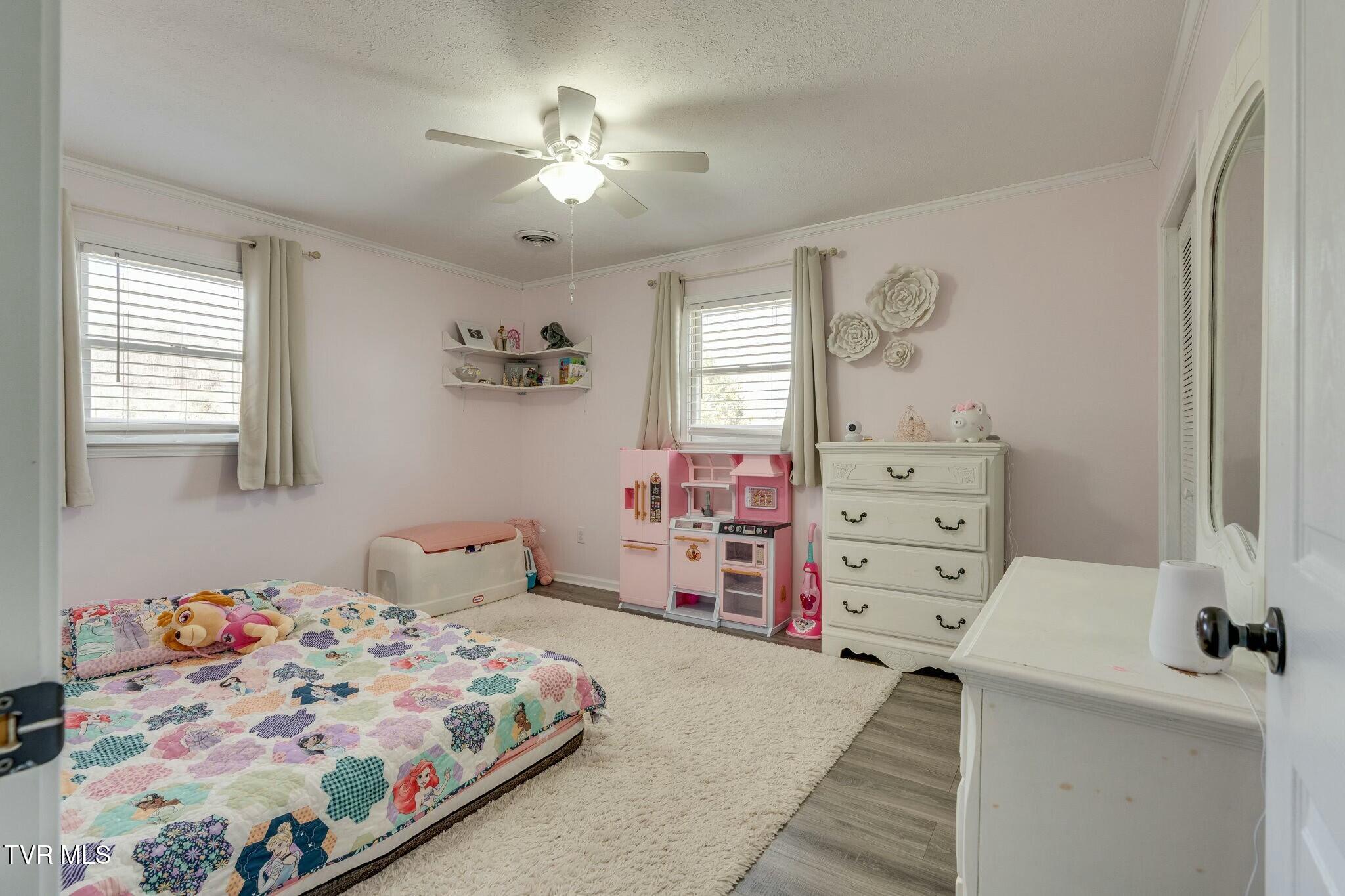 247 Carlton Road Bristol, TN 37620 - Photo 16 of 35 tempImagefiIJc8