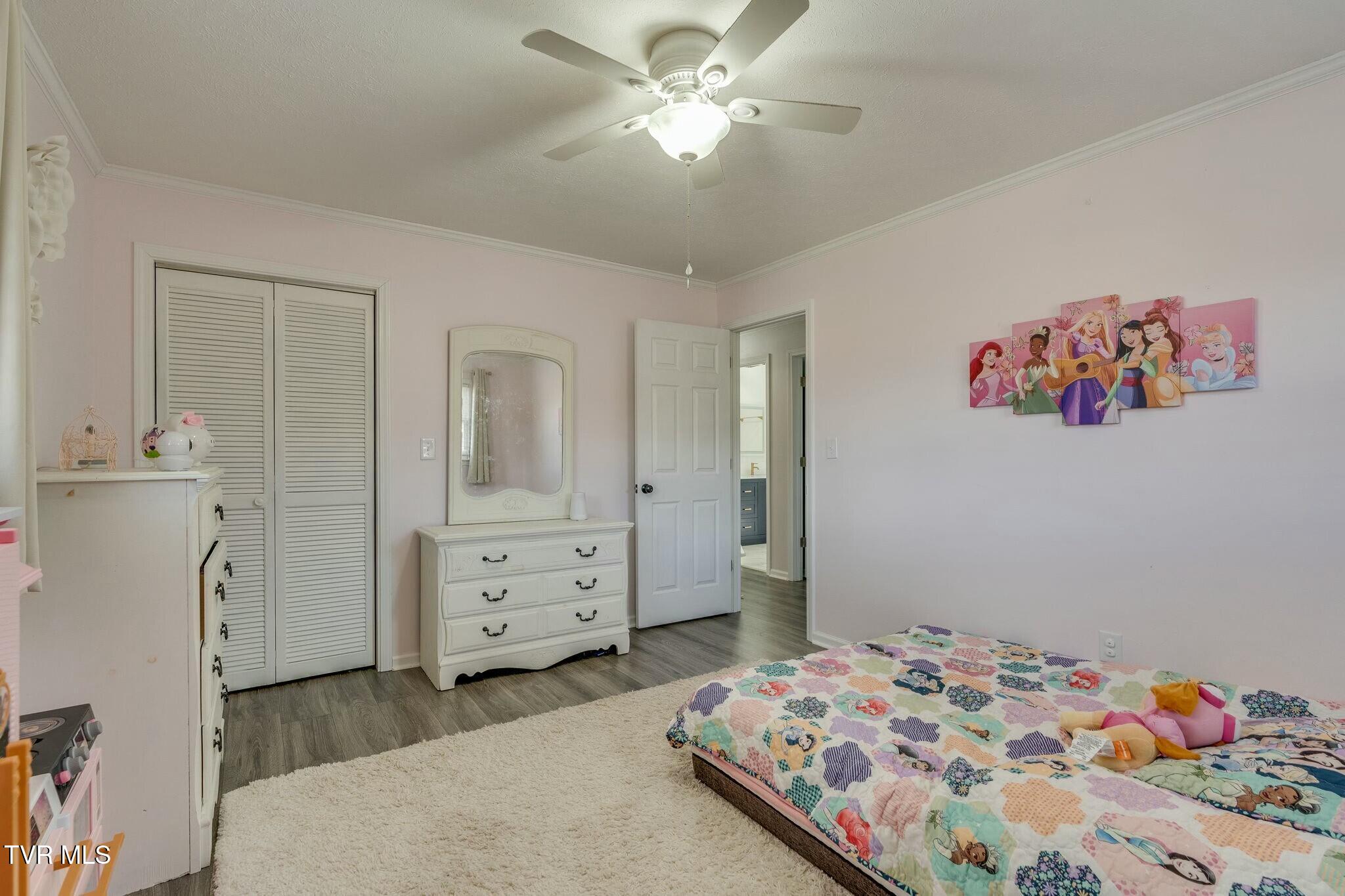 247 Carlton Road Bristol, TN 37620 - Photo 17 of 35 tempImageIyzrz8