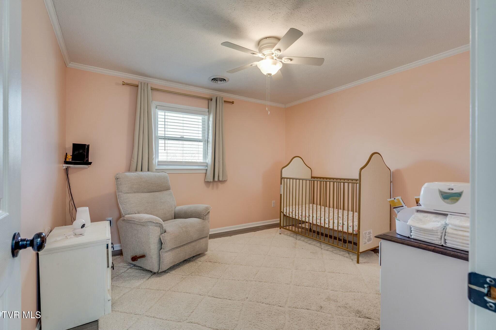247 Carlton Road Bristol, TN 37620 - Photo 18 of 35 tempImage5KEa6C
