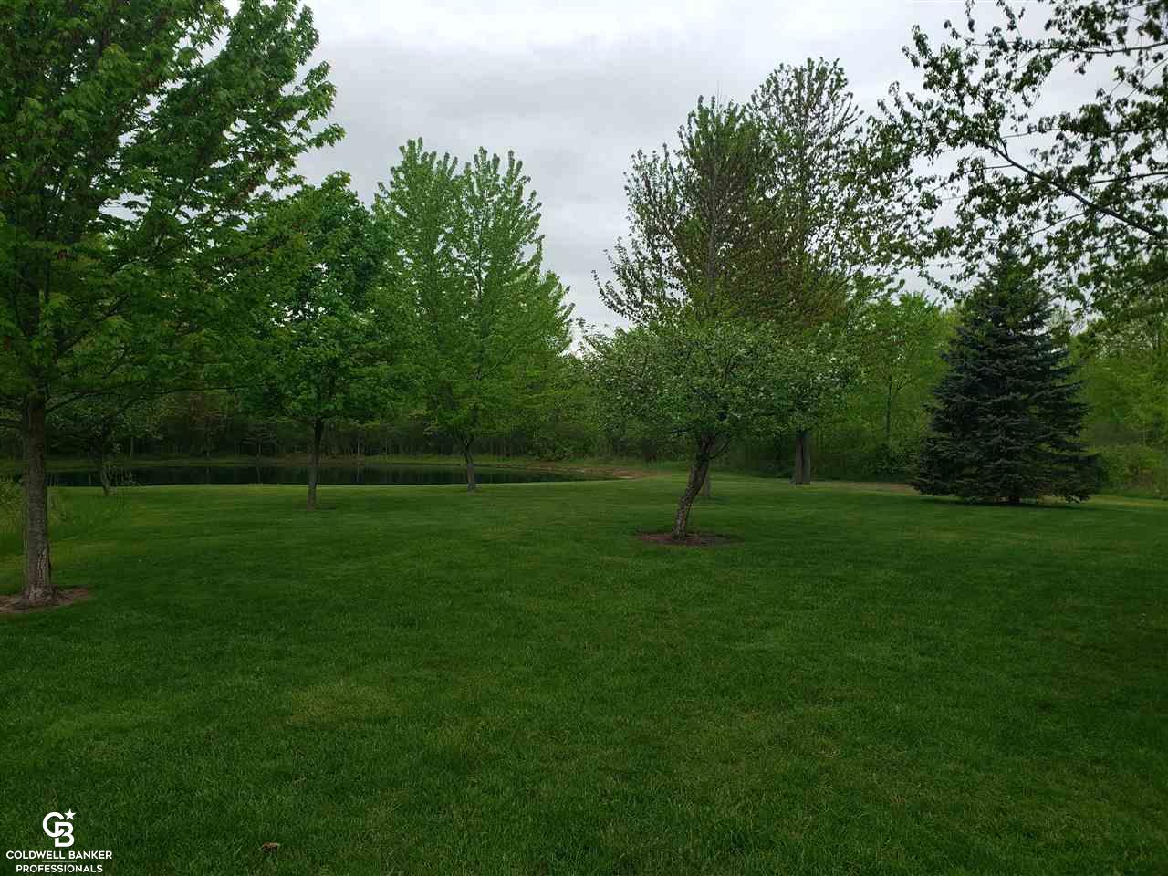 3605 Bricker Road Avoca, MI 48006 - Photo 12 of 23 Backyard