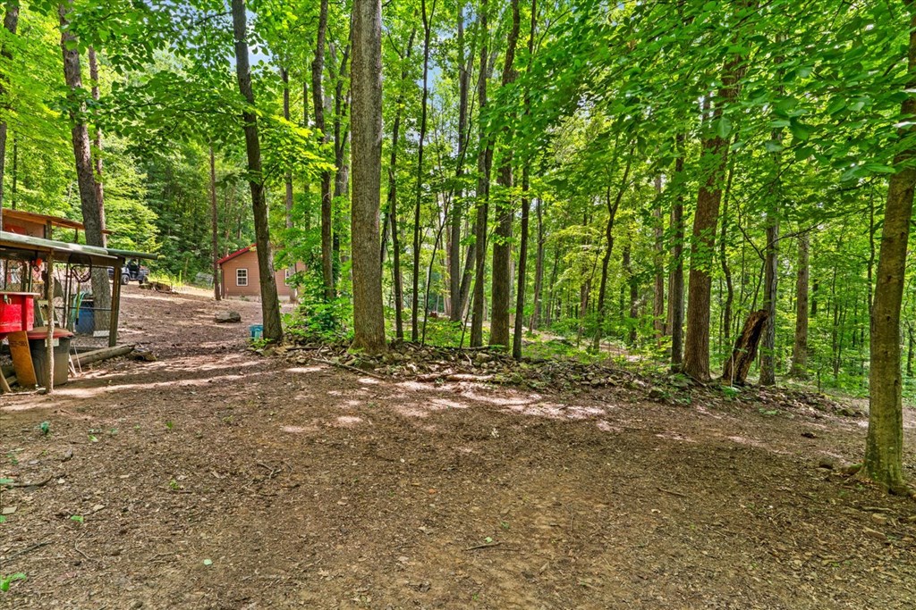 307 Smith Mountain Road Dunlap, TN 37327 - Photo 44 of 54 Gallery Image 44