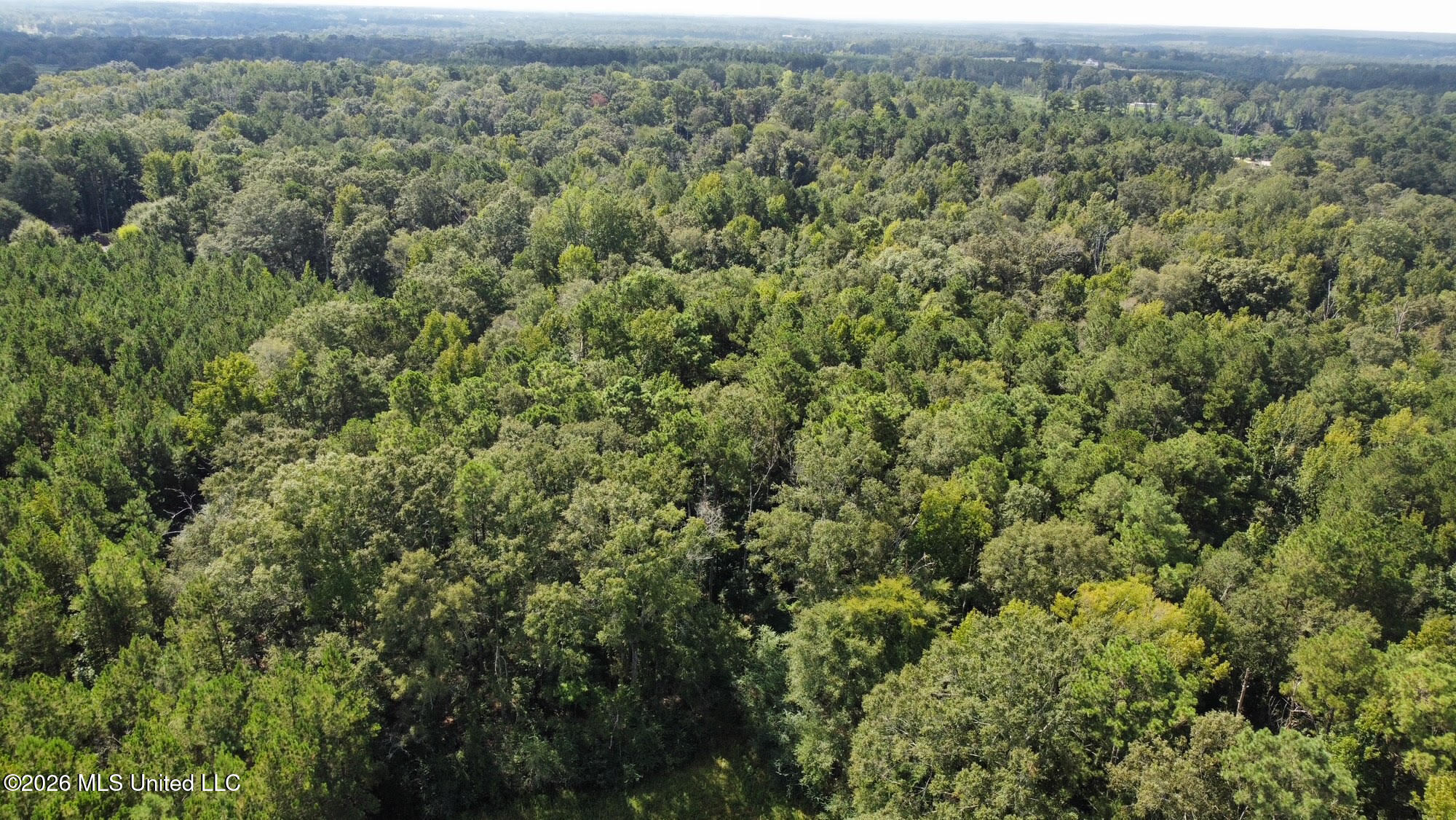 2 Dry Creek Road Magee, MS 39111 - Photo 16 of 20 29