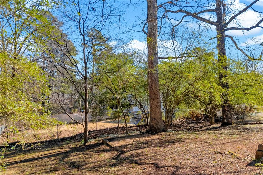 3765 Linwood Way Snellville, GA 30039 - Photo 48 of 53 a view of a yard with plants and trees