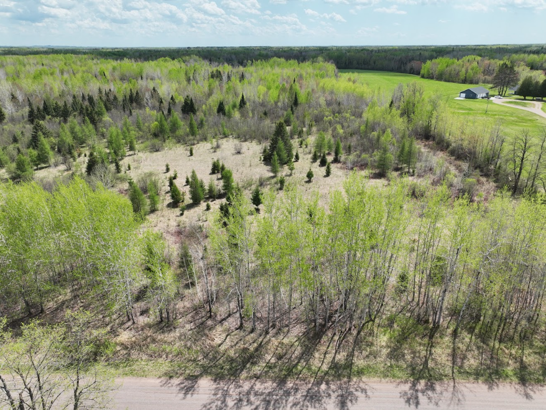 0 Fine Lakes Road Floodwood, MN 55736 - Photo 8 of 10