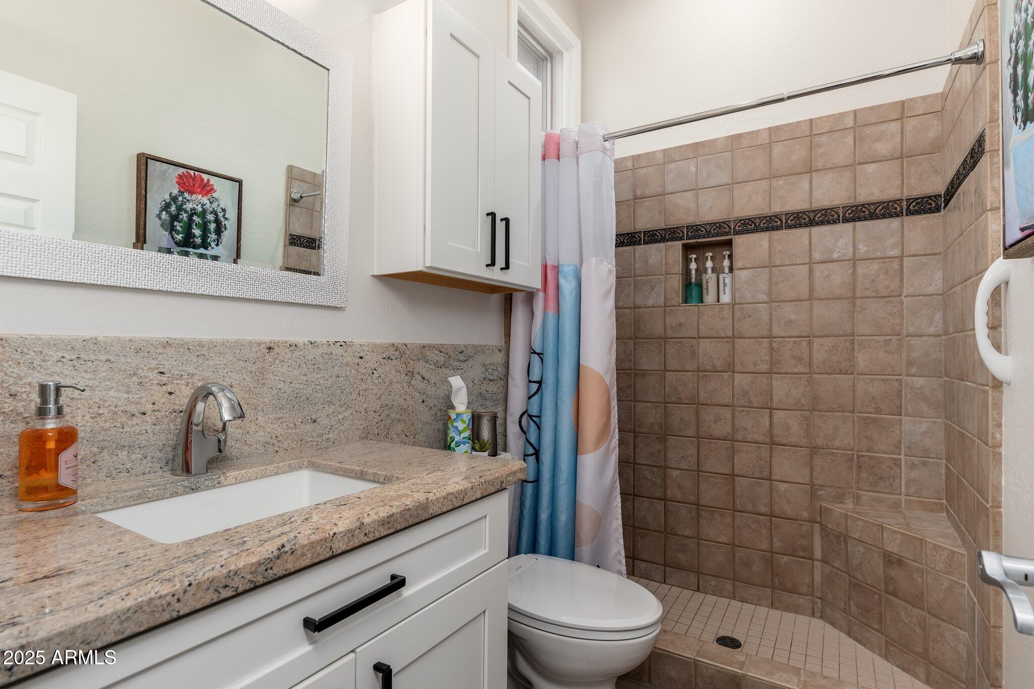 5712 East Blue Sky Drive Scottsdale, AZ 85266 - Photo 39 of 79 a bathroom with a granite countertop sink a toilet and shower