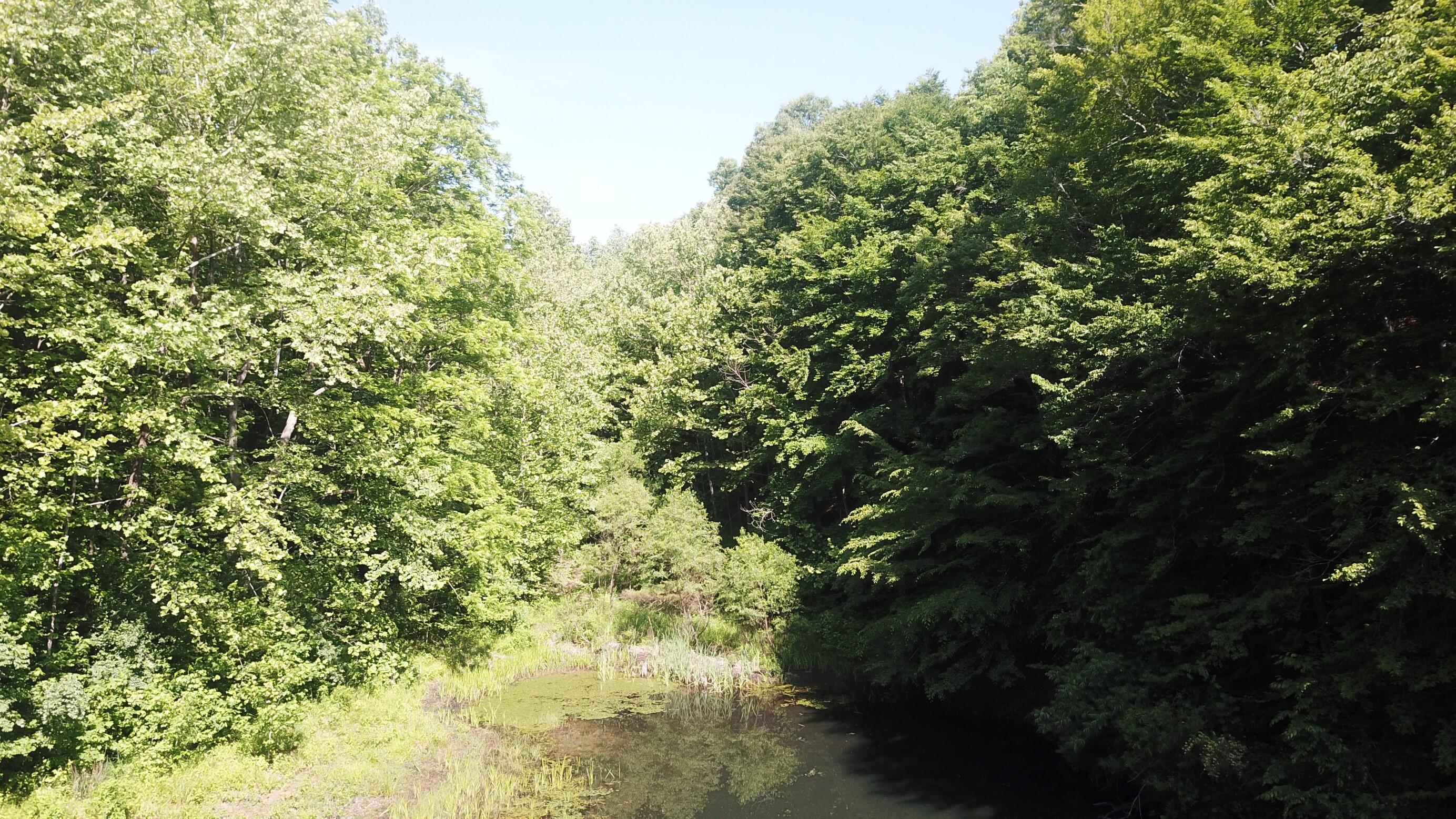 0 Emanuel Hollow Road Gray, KY 40734 - Photo 27 of 29 DJI_0021 (Custom)