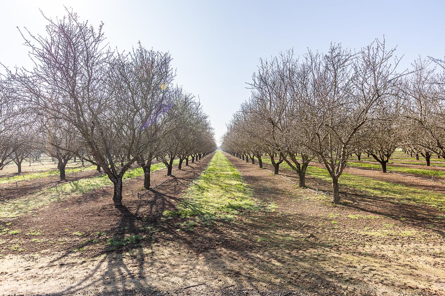 18041 Seidner Road Escalon, CA 95320 - Photo 49 of 50
