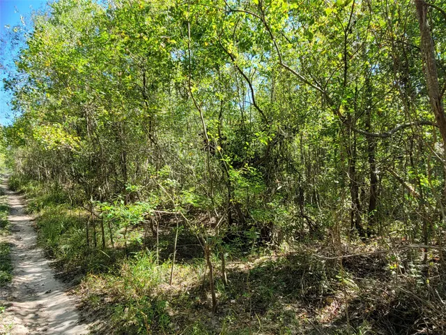 a view of a lake view