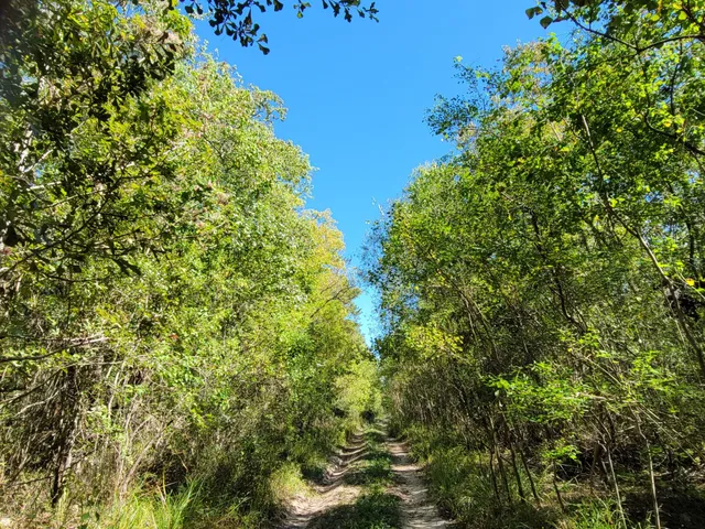 a view of a green field