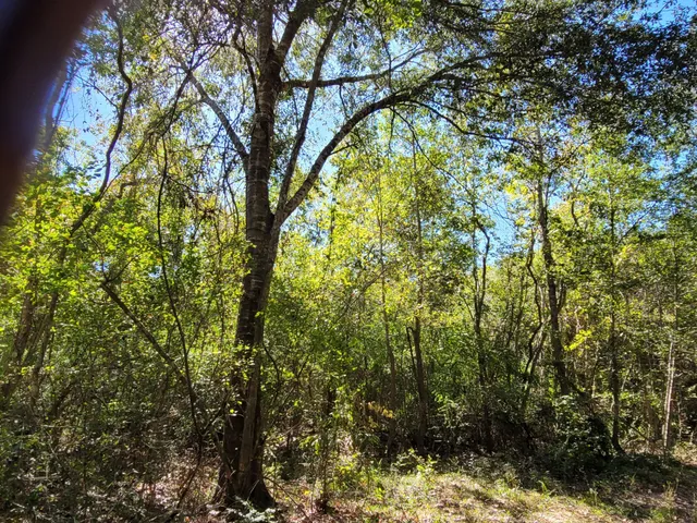 $5,000,000 | 10785 Fm-2518, Cleveland, TX 77327