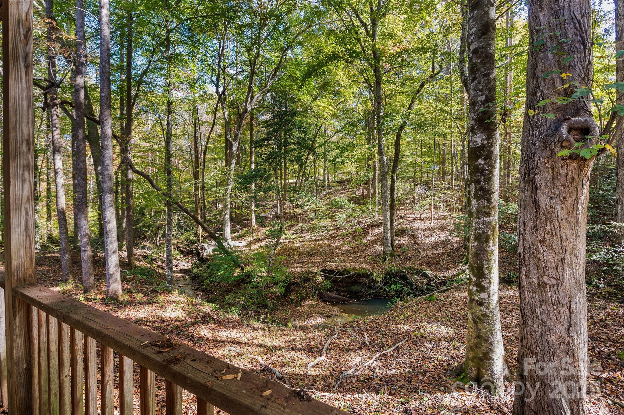 236 Woody Circle Tryon, NC 28782 - Photo 23 of 26 a view of a forest from a balcony