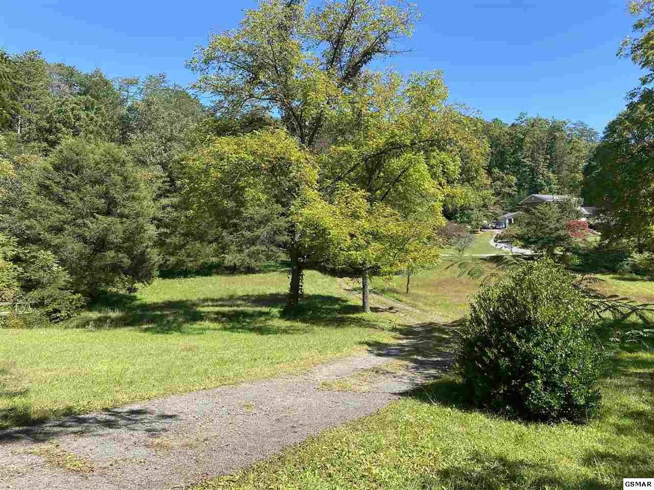909 Stinnett Ridge Road Cosby, TN 37722 - Photo 12 of 35