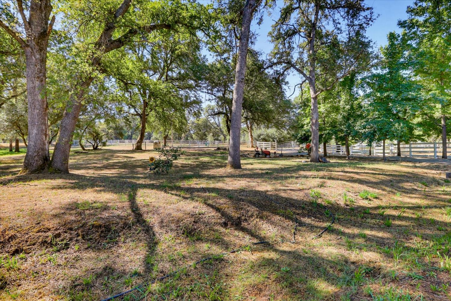 18310 Gray Oak Drive Rough and Ready, CA 95975 - Photo 35 of 97