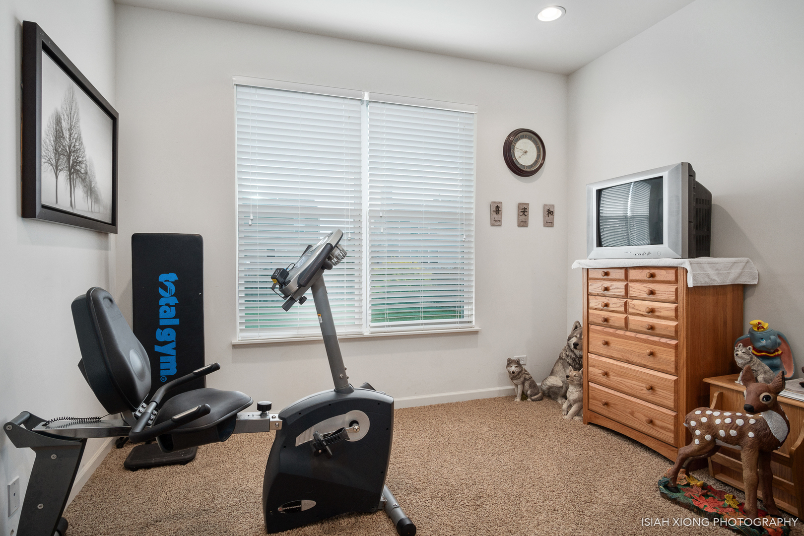 2320 Thunder Gulch Road Montgomery, IL 60538 - Photo 12 of 35 Gallery Image 12