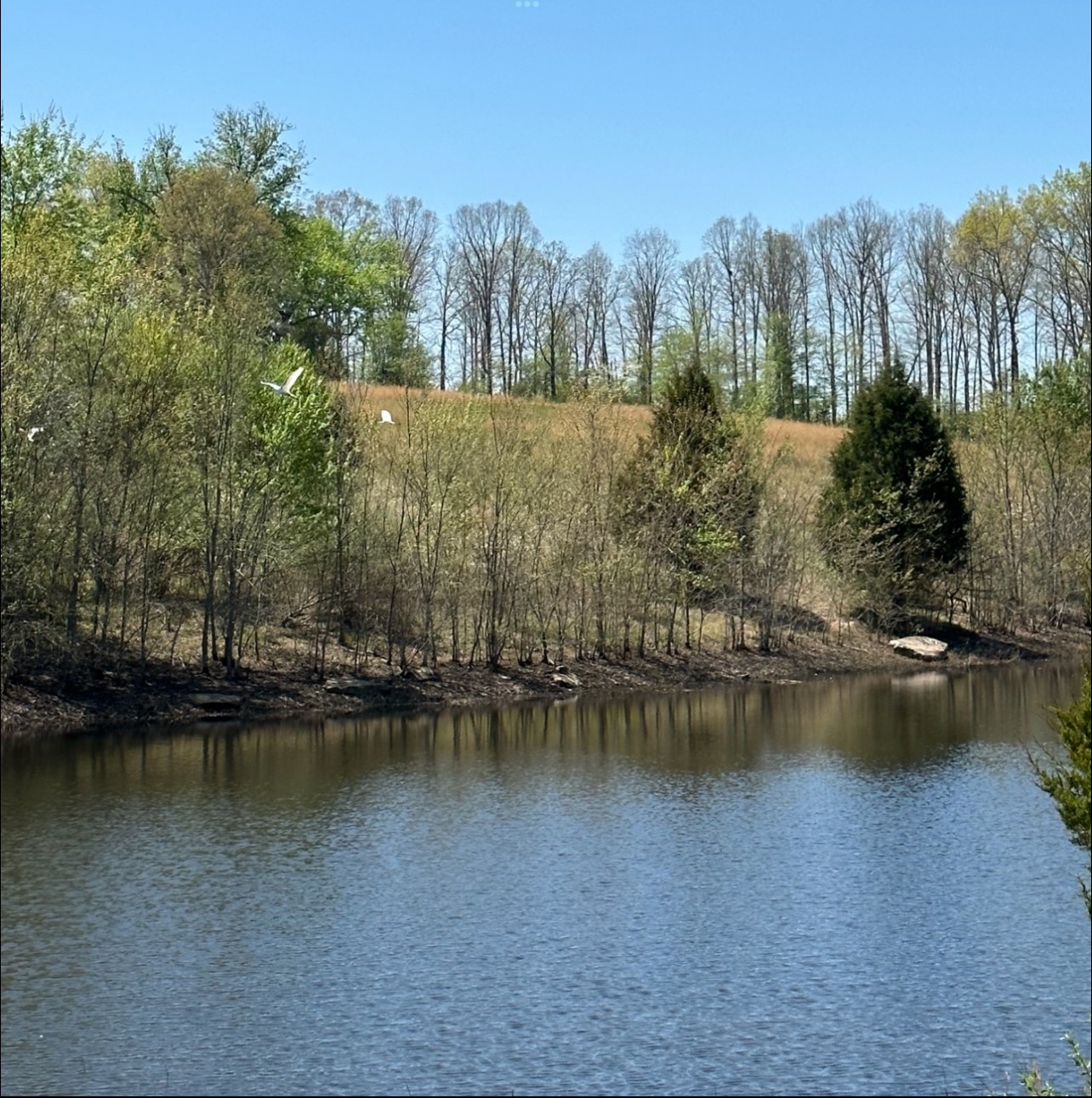 755 Music City Ranch Lane Sparta, TN 38583 - Photo 23 of 35 a view of a lake with houses in the background