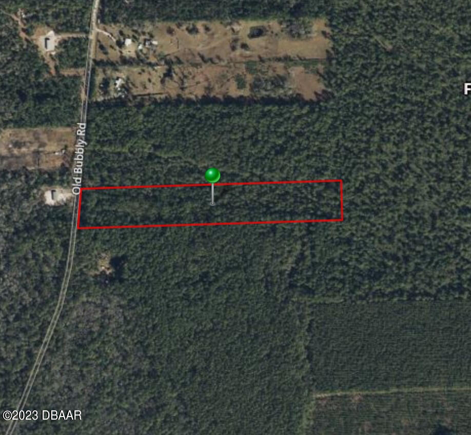 721 Old Bubbly Road Pierson, FL 32180 - Photo 12 of 12