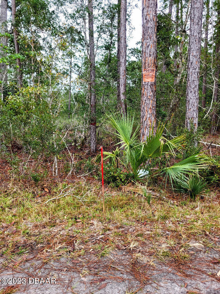 721 Old Bubbly Road Pierson, FL 32180 - Photo 10 of 12 a view of a garden