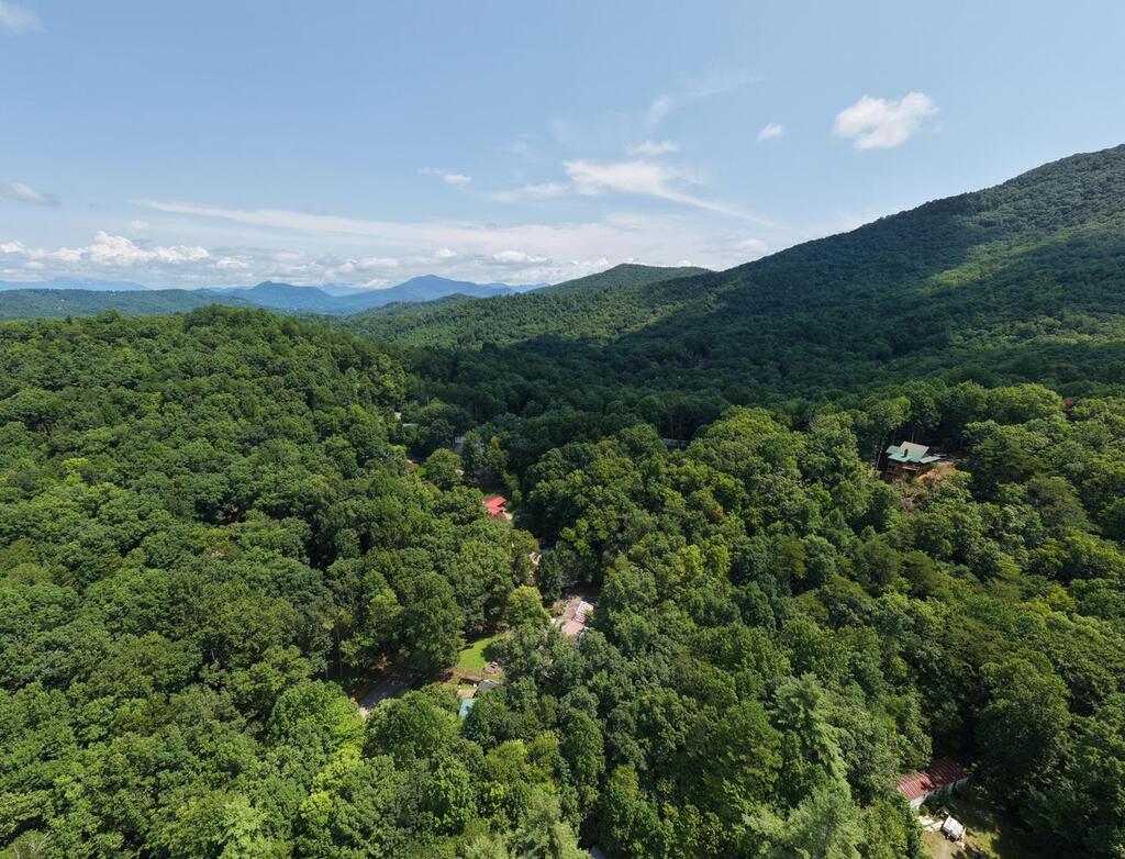 338 Gander Gap Road Hiawassee, GA 30546 - Photo 61 of 61 Gallery Image 61