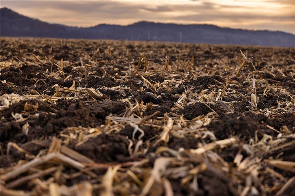 59 Southwest Highway Street St. Joseph, MO 64504 - Photo 3 of 15