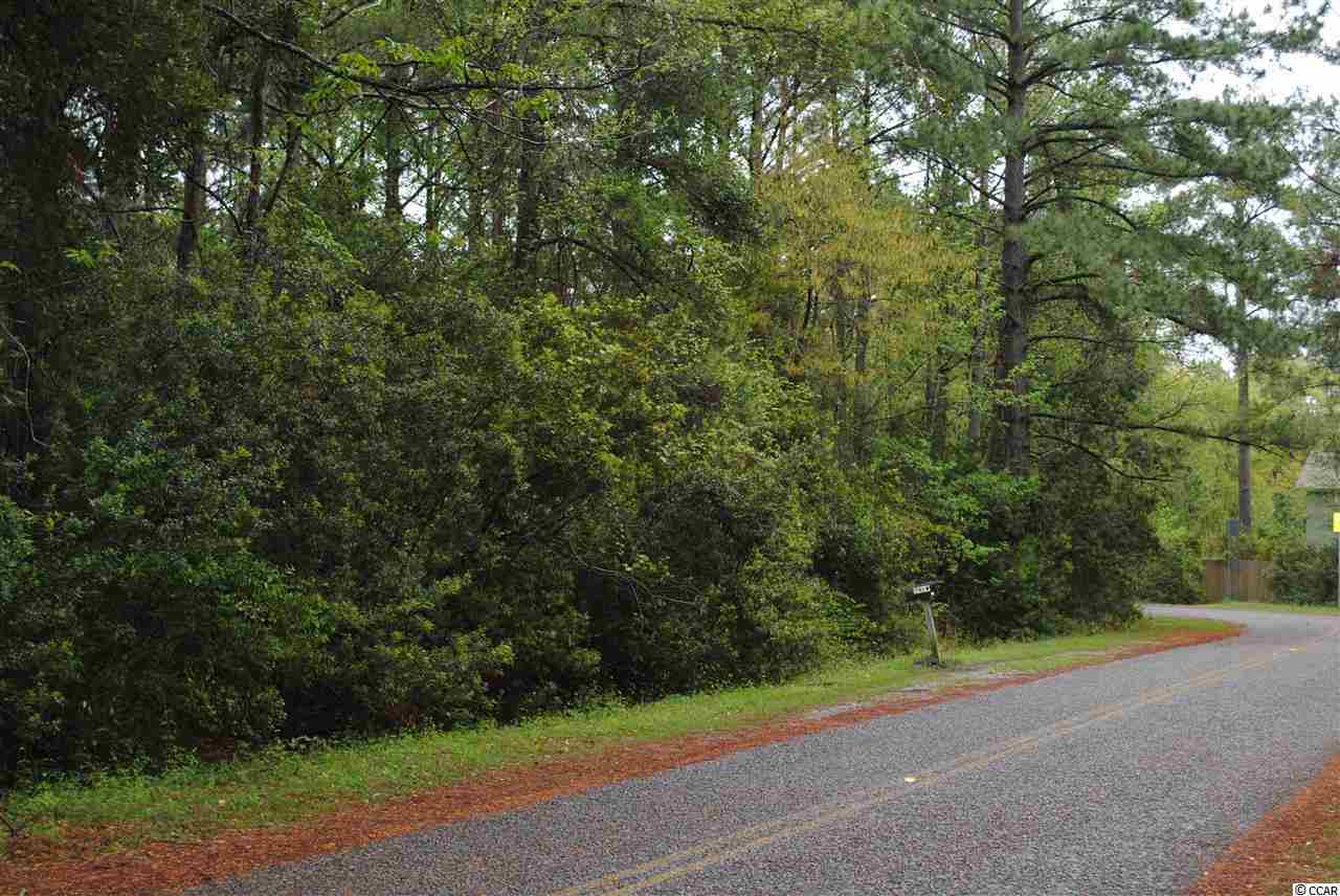 Lot 16-sec South Carolina Road McClellanville, SC 29458 - Photo 2 of 4 Gallery Image 2