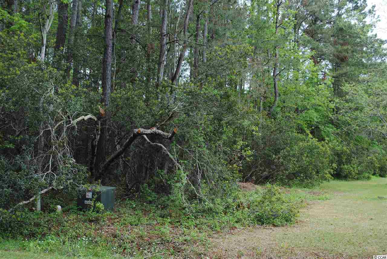 Lot 16-sec South Carolina Road McClellanville, SC 29458 - Photo 3 of 4 Gallery Image 3