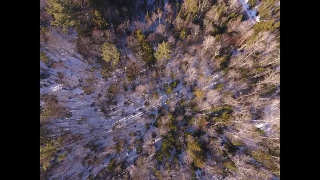 $35,950 | 0 Waterford Hollow Lane, Waterford, VT 05819