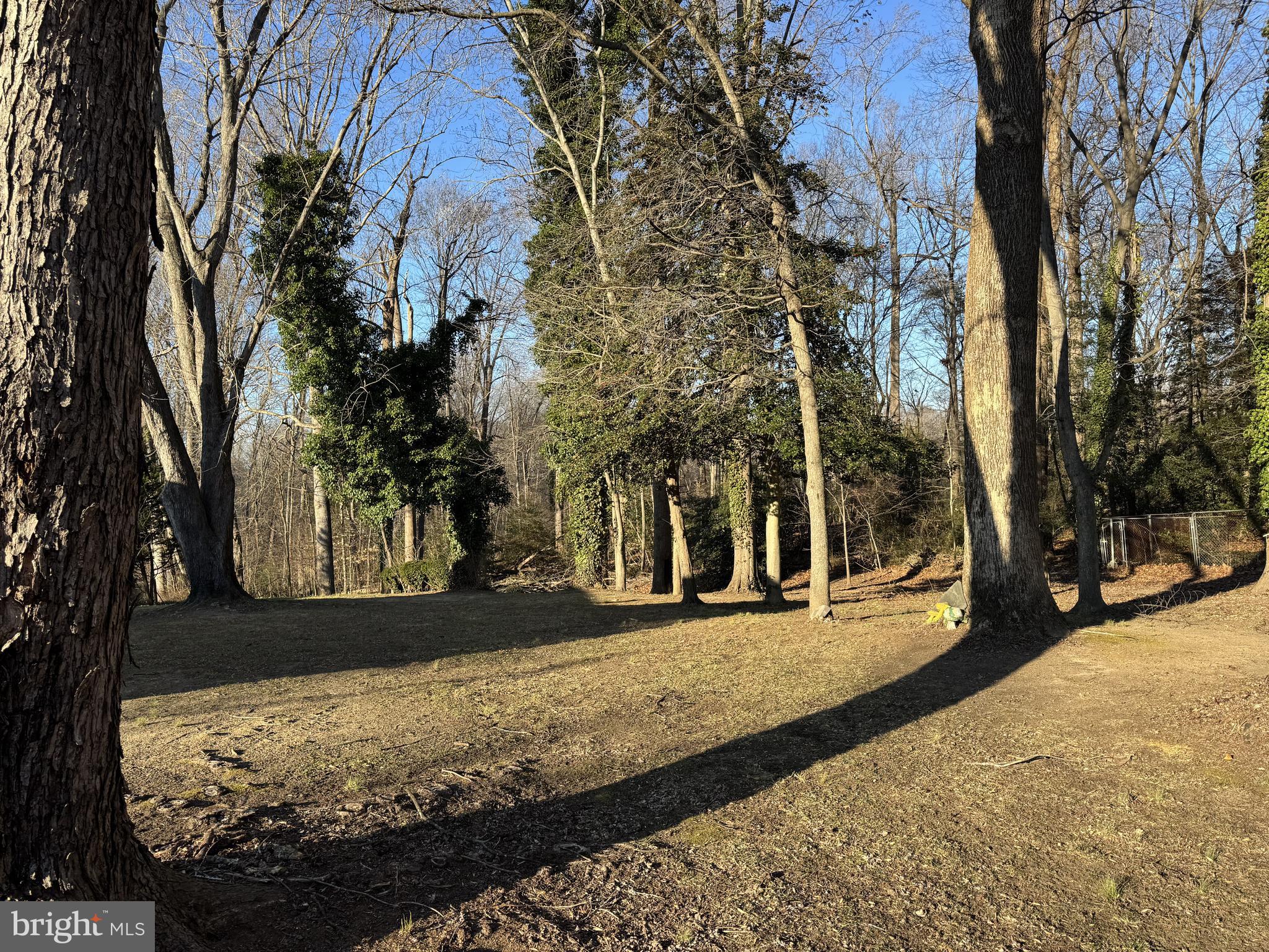 30170 Curtiss Road Mechanicsville, MD 20659 - Photo 31 of 35 Backyard