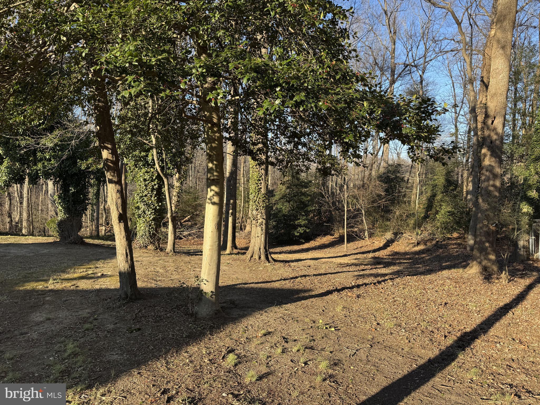 30170 Curtiss Road Mechanicsville, MD 20659 - Photo 34 of 35 Backyard