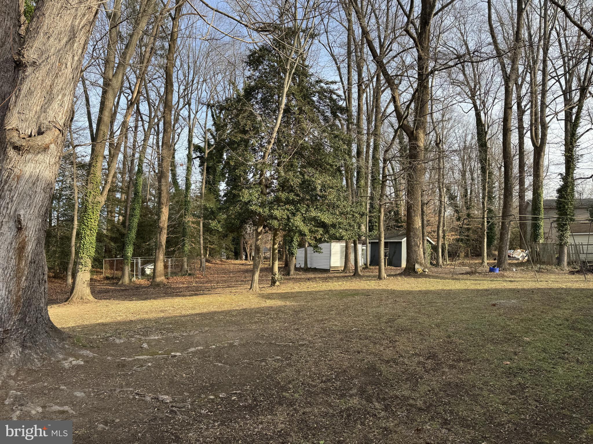 30170 Curtiss Road Mechanicsville, MD 20659 - Photo 4 of 35 Backyard