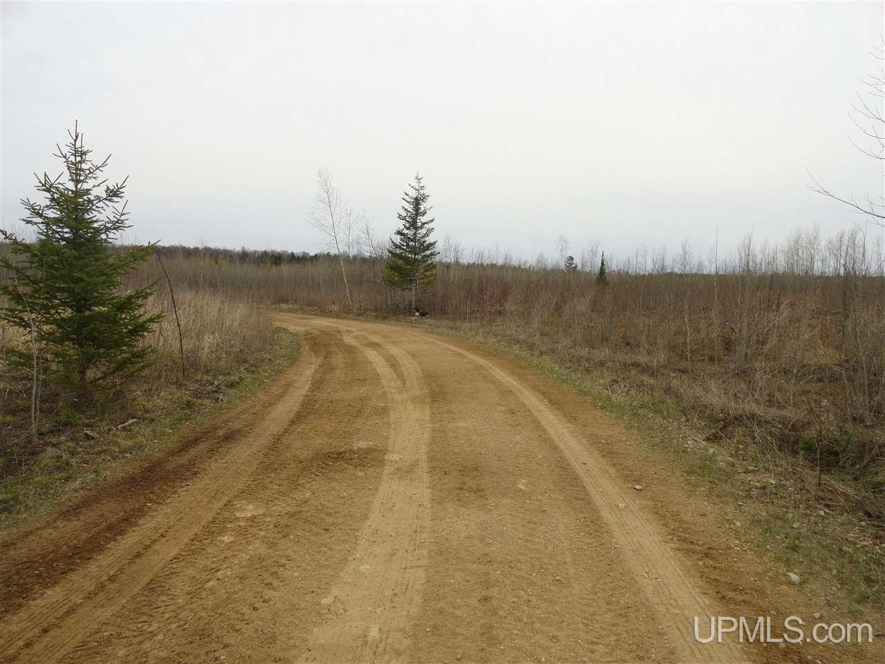 44-acres Ford River Road Arnold, MI 49831 - Photo 27 of 36
