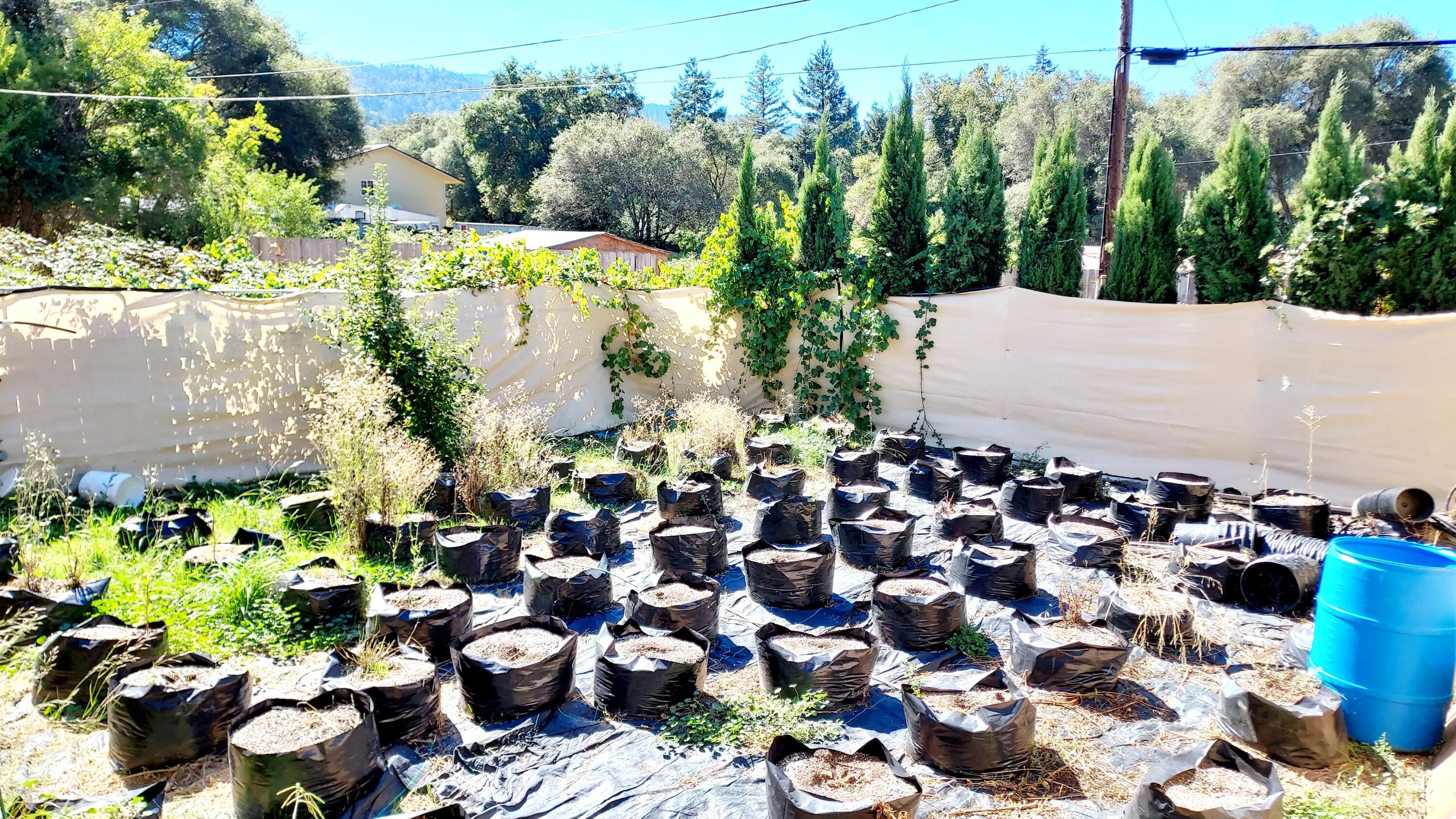 609 Steelhead Road Alderpoint, CA 95511 - Photo 52 of 58 Enclosed Backyard 2