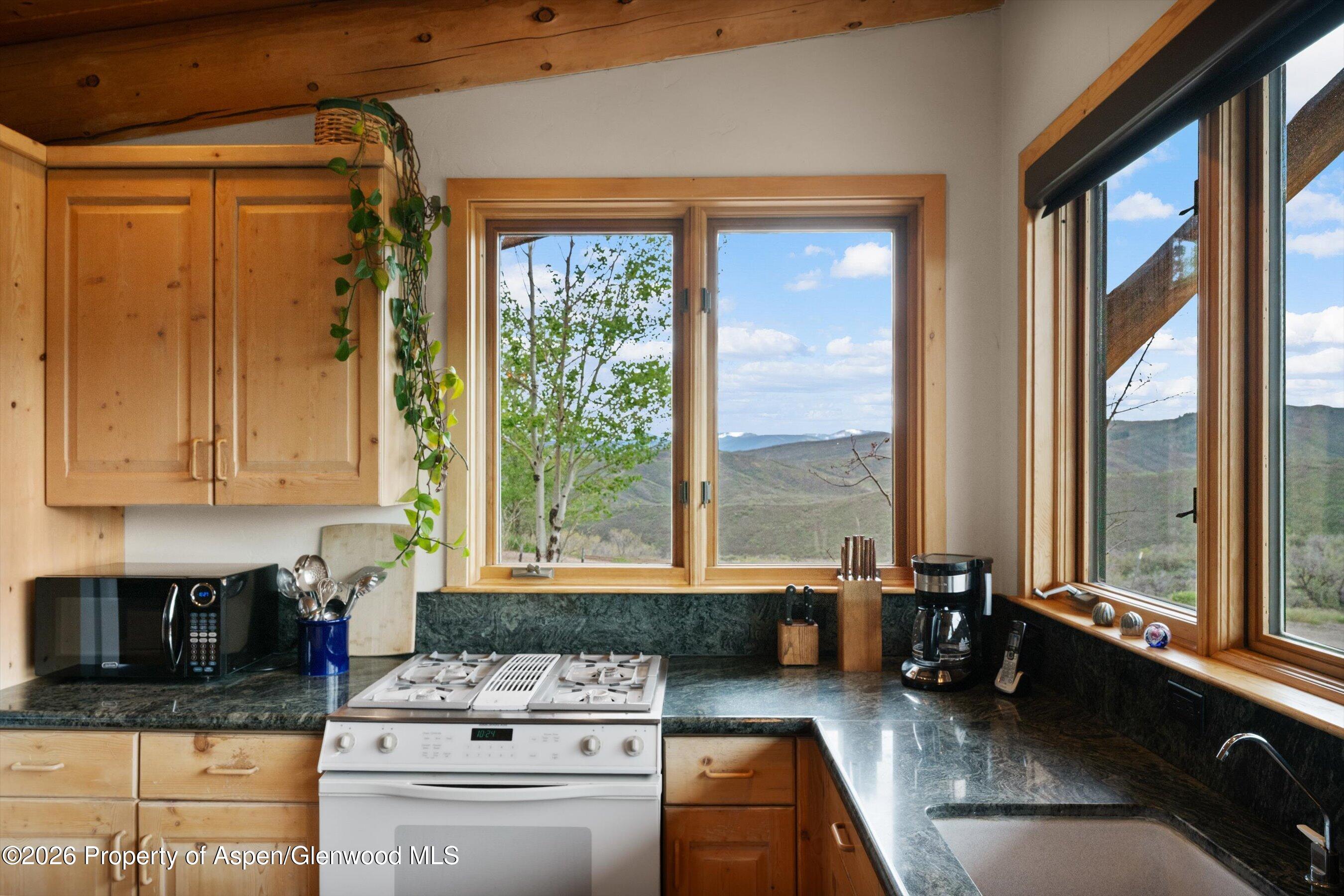 115 Rural Mountain Road Snowmass, CO 81654 - Photo 12 of 37 KitchenViewsEast