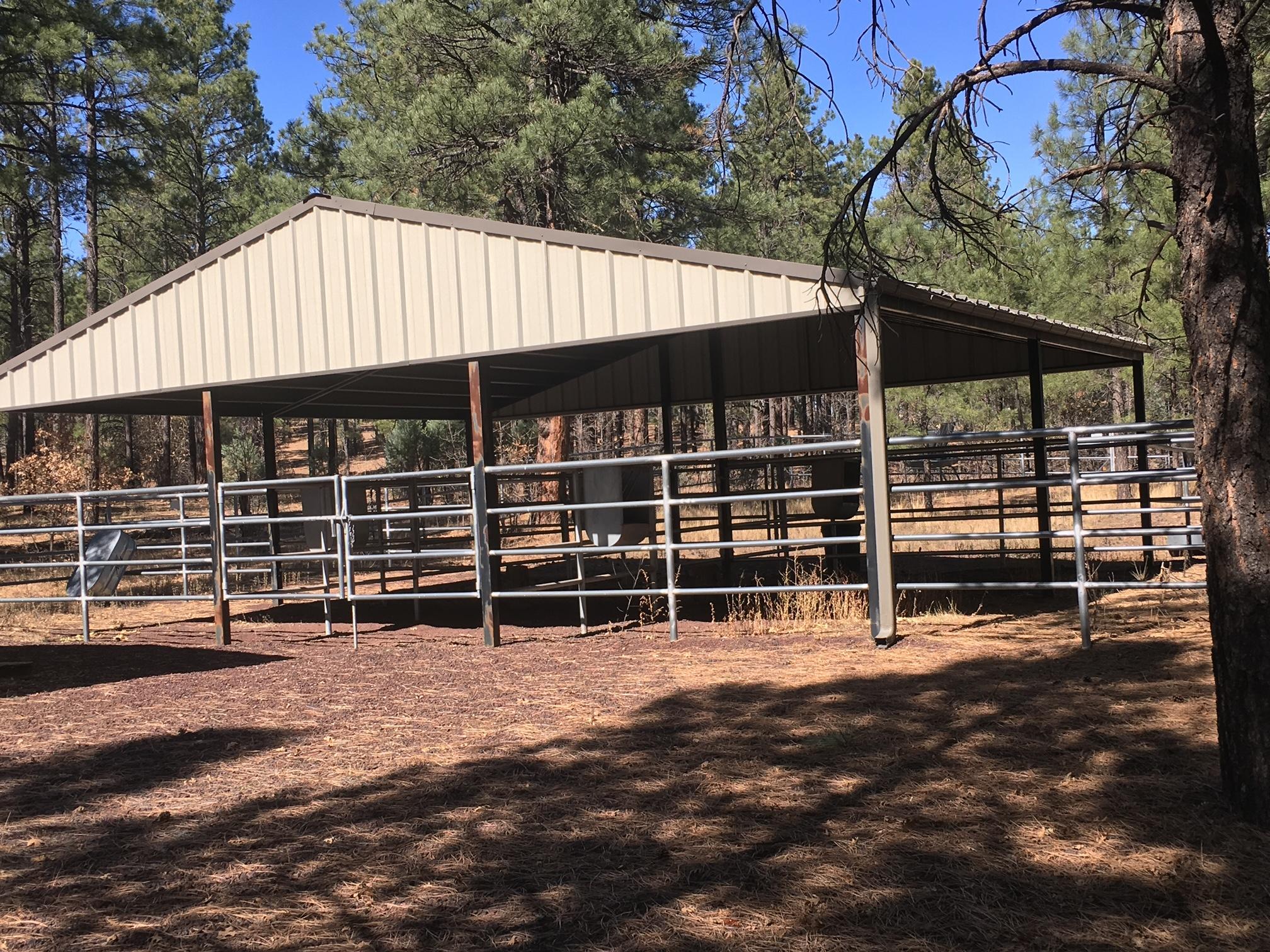644 Rim Road Pinedale, AZ 85934 - Photo 27 of 33