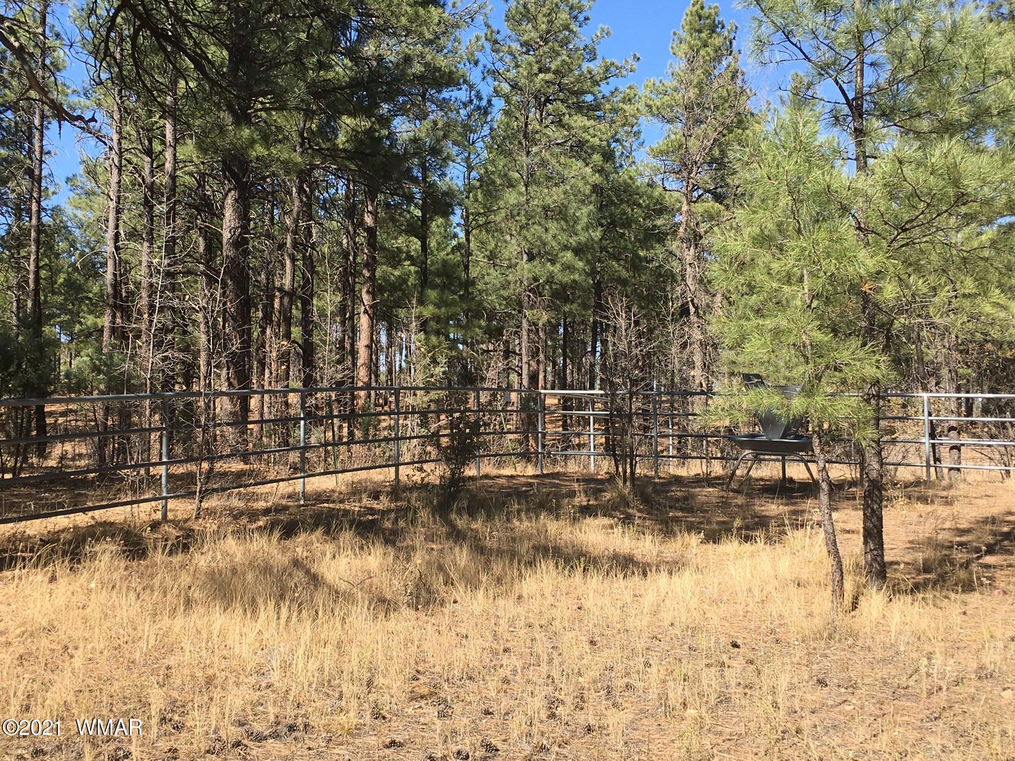 644 Rim Road Pinedale, AZ 85934 - Photo 28 of 33