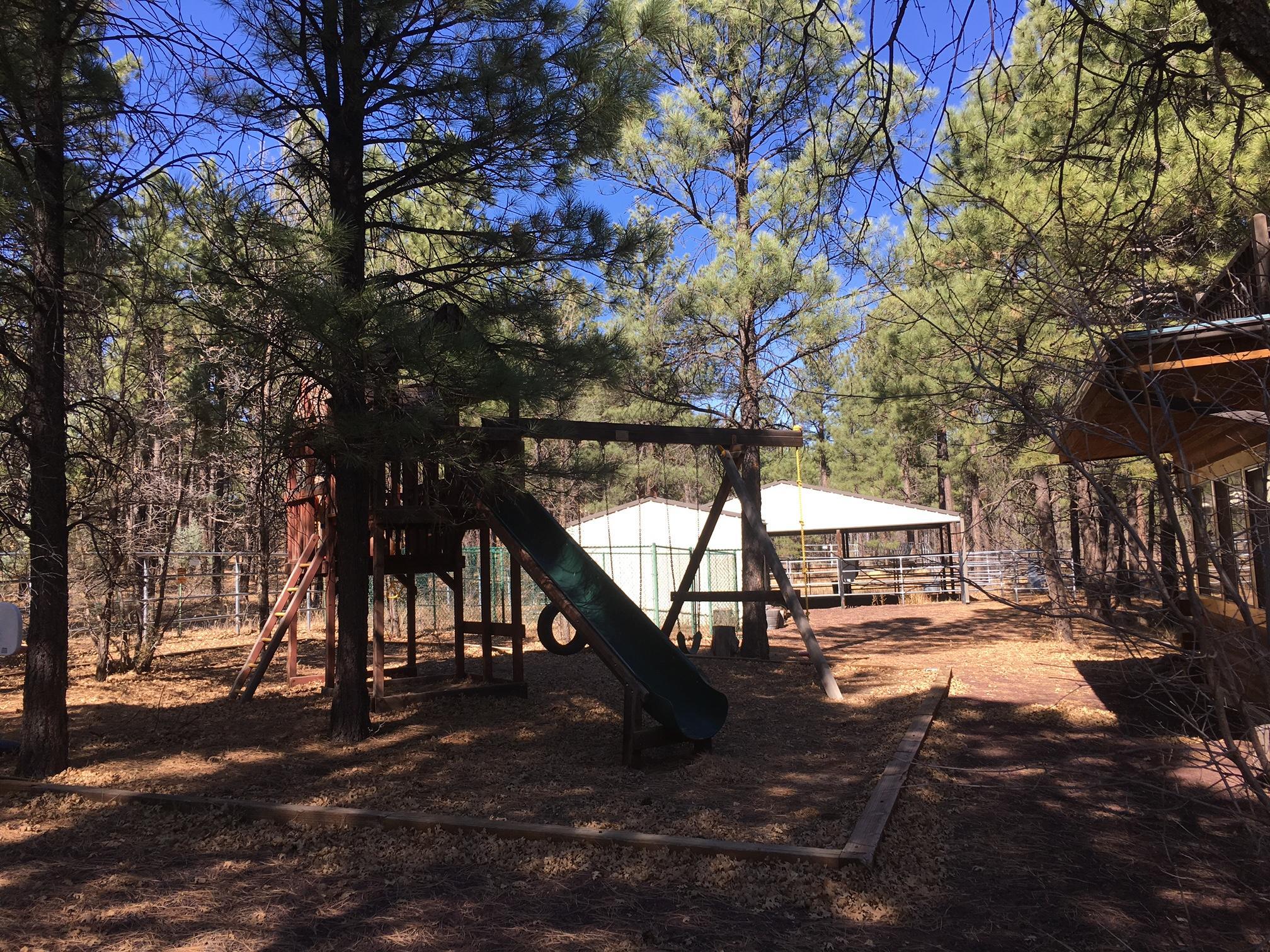 644 Rim Road Pinedale, AZ 85934 - Photo 29 of 33