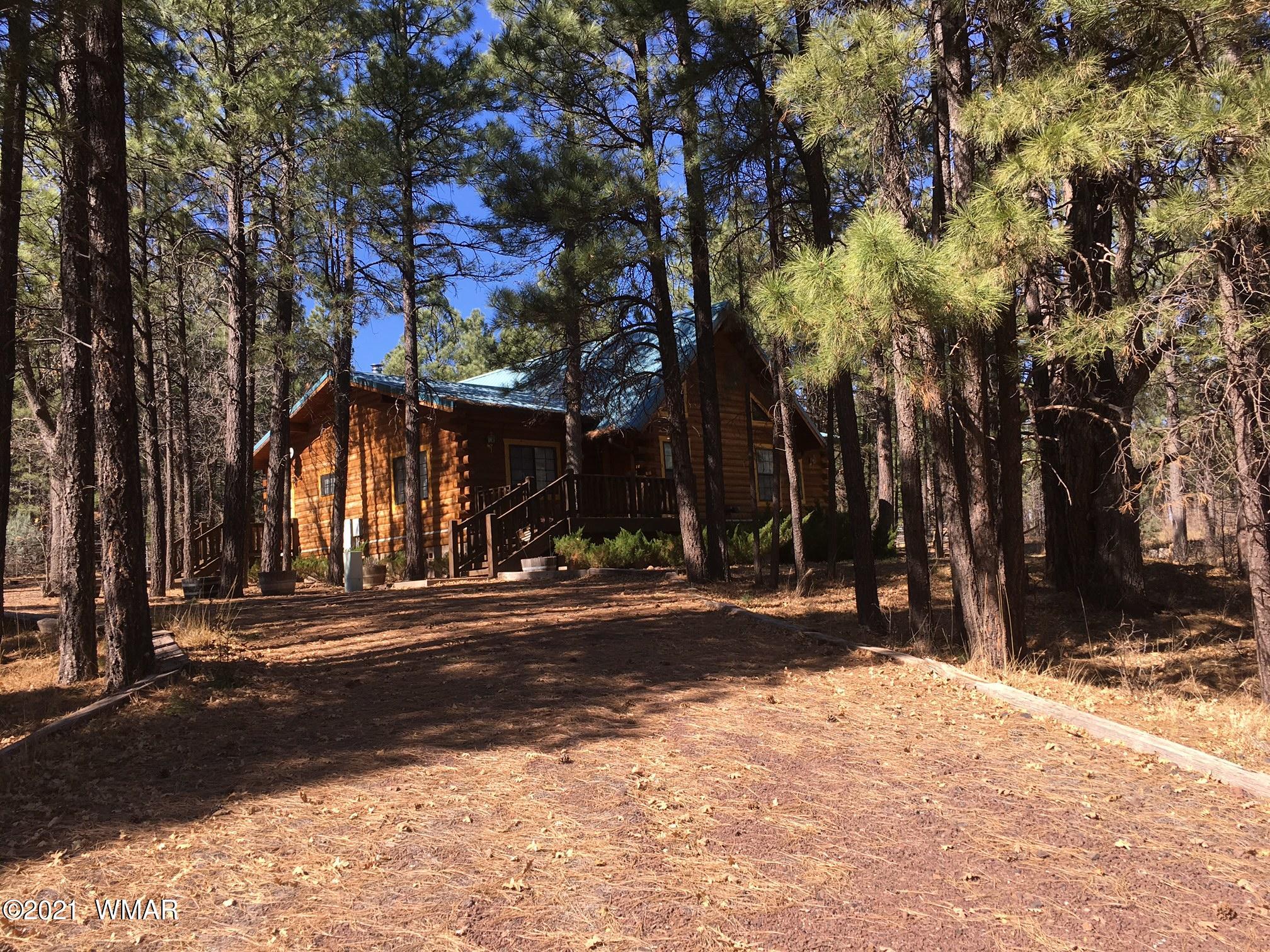 644 Rim Road Pinedale, AZ 85934 - Photo 30 of 33