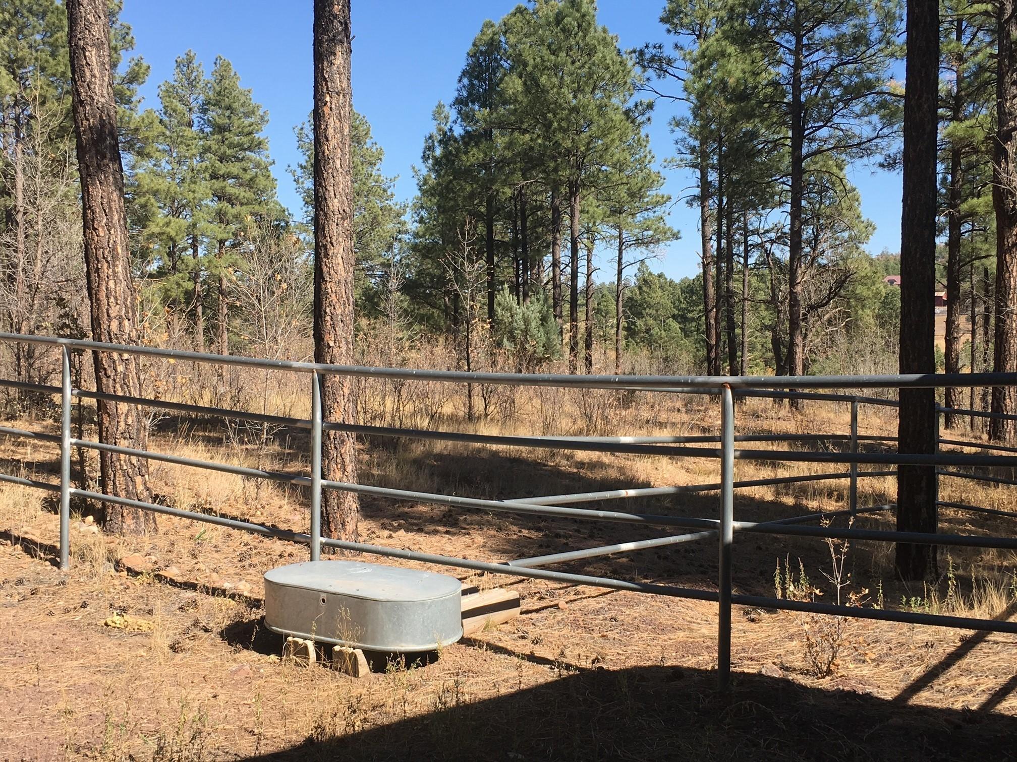 644 Rim Road Pinedale, AZ 85934 - Photo 31 of 33