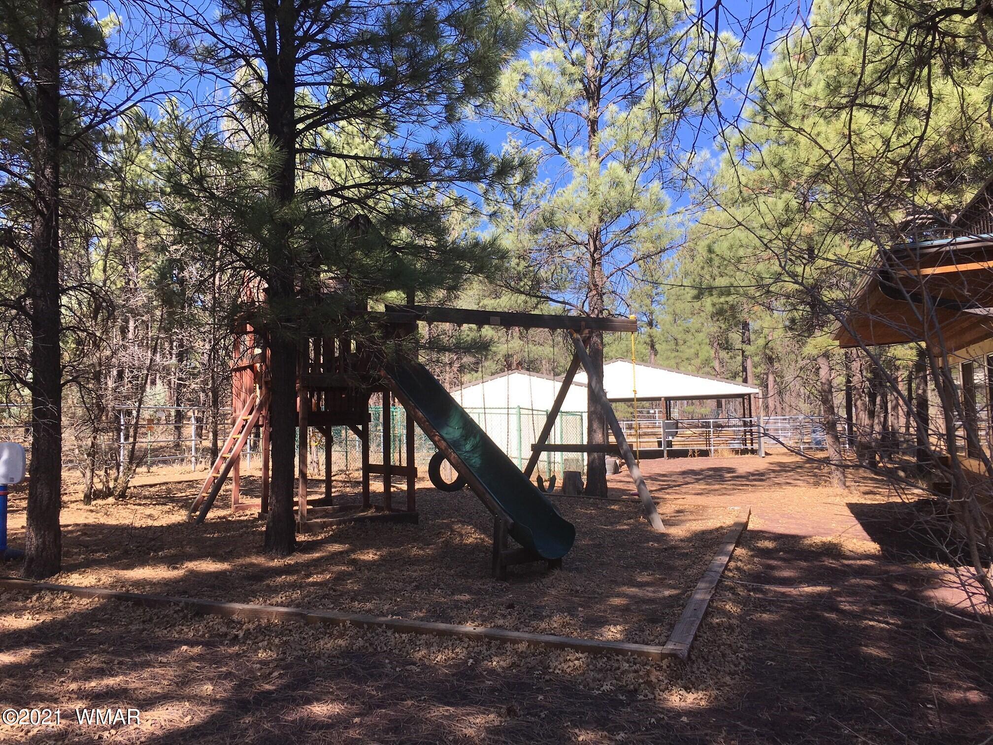 644 Rim Road Pinedale, AZ 85934 - Photo 4 of 33