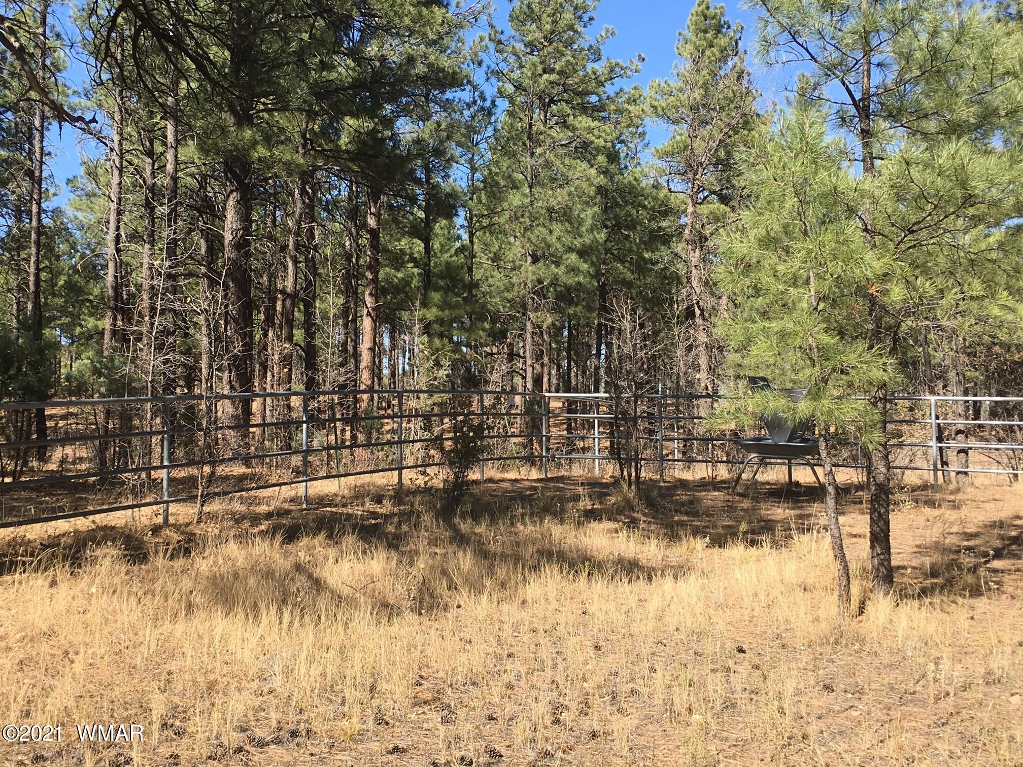 644 Rim Road Pinedale, AZ 85934 - Photo 10 of 33