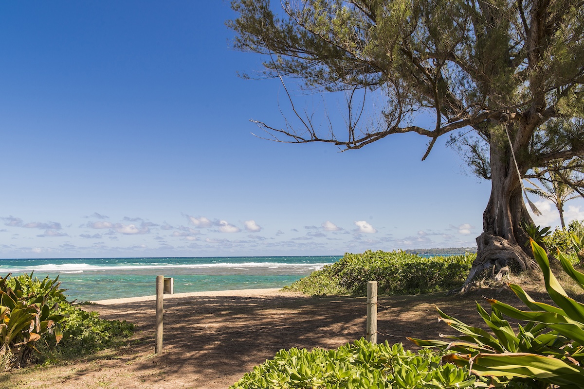 7205 Alealea Road Hanalei, HI 96714 - Photo 29 of 30