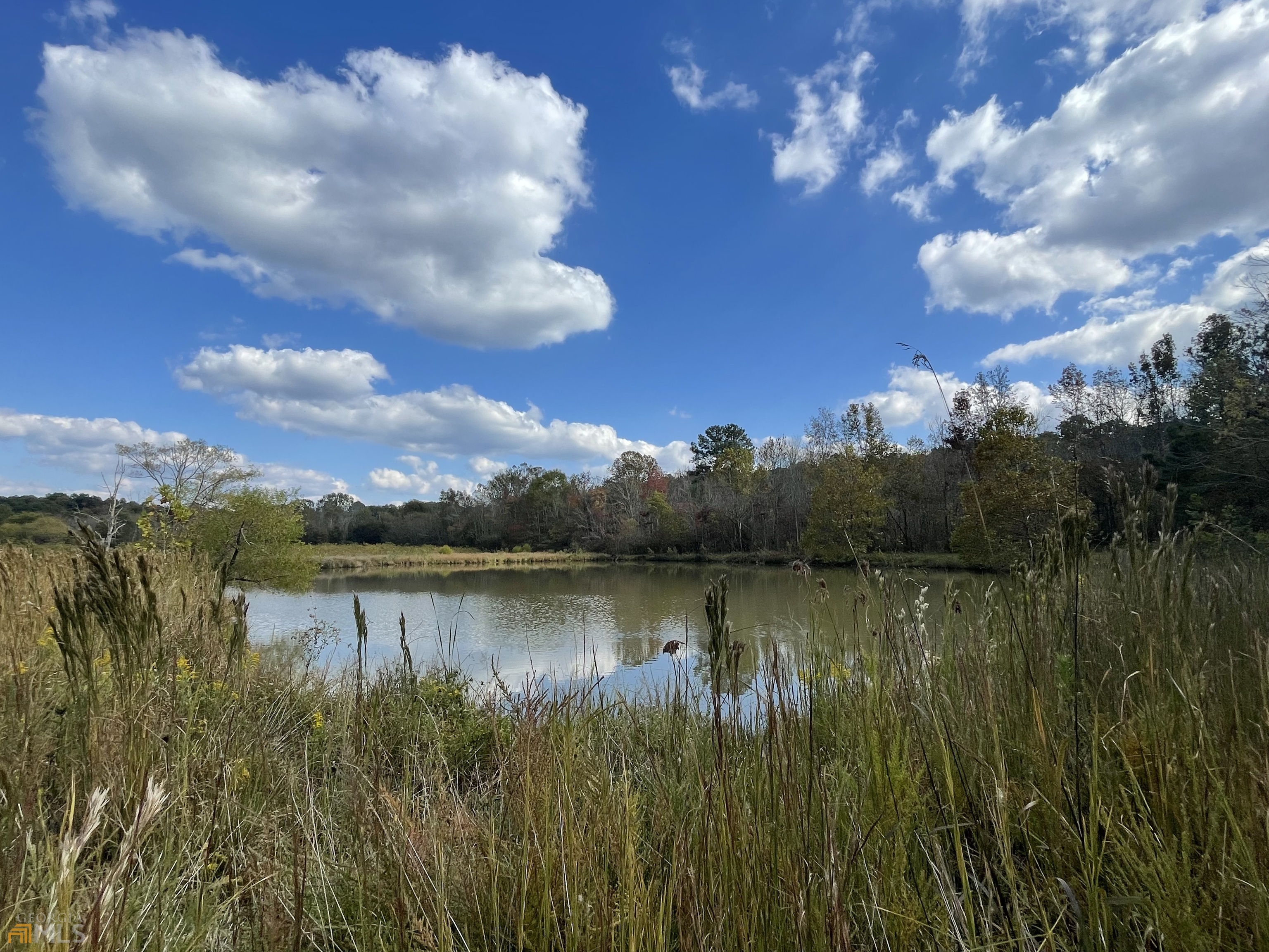 35-acres Taylortown Road Ranger, GA 30734 - Photo 1 of 1 a view of a lake in between the city