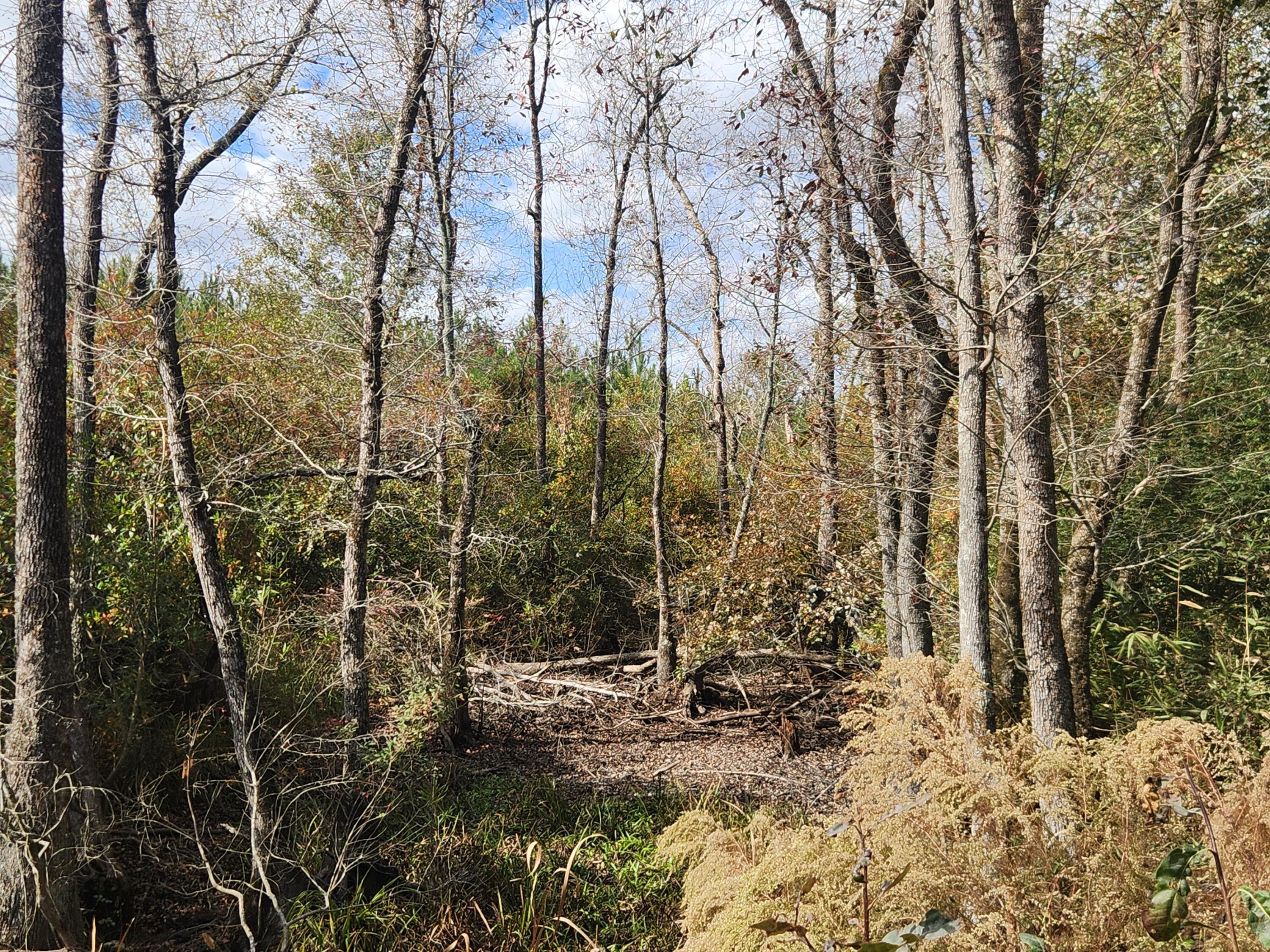 10 Kelly Day Road Pelion, SC 29123 - Photo 13 of 14 20241031_134237