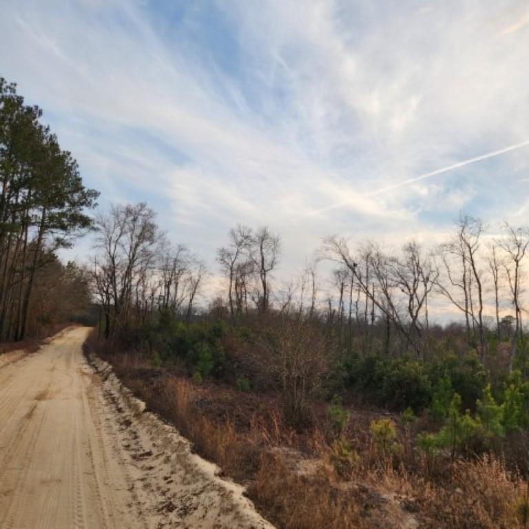 10 Kelly Day Road Pelion, SC 29123 - Photo 4 of 14 20230208_173808