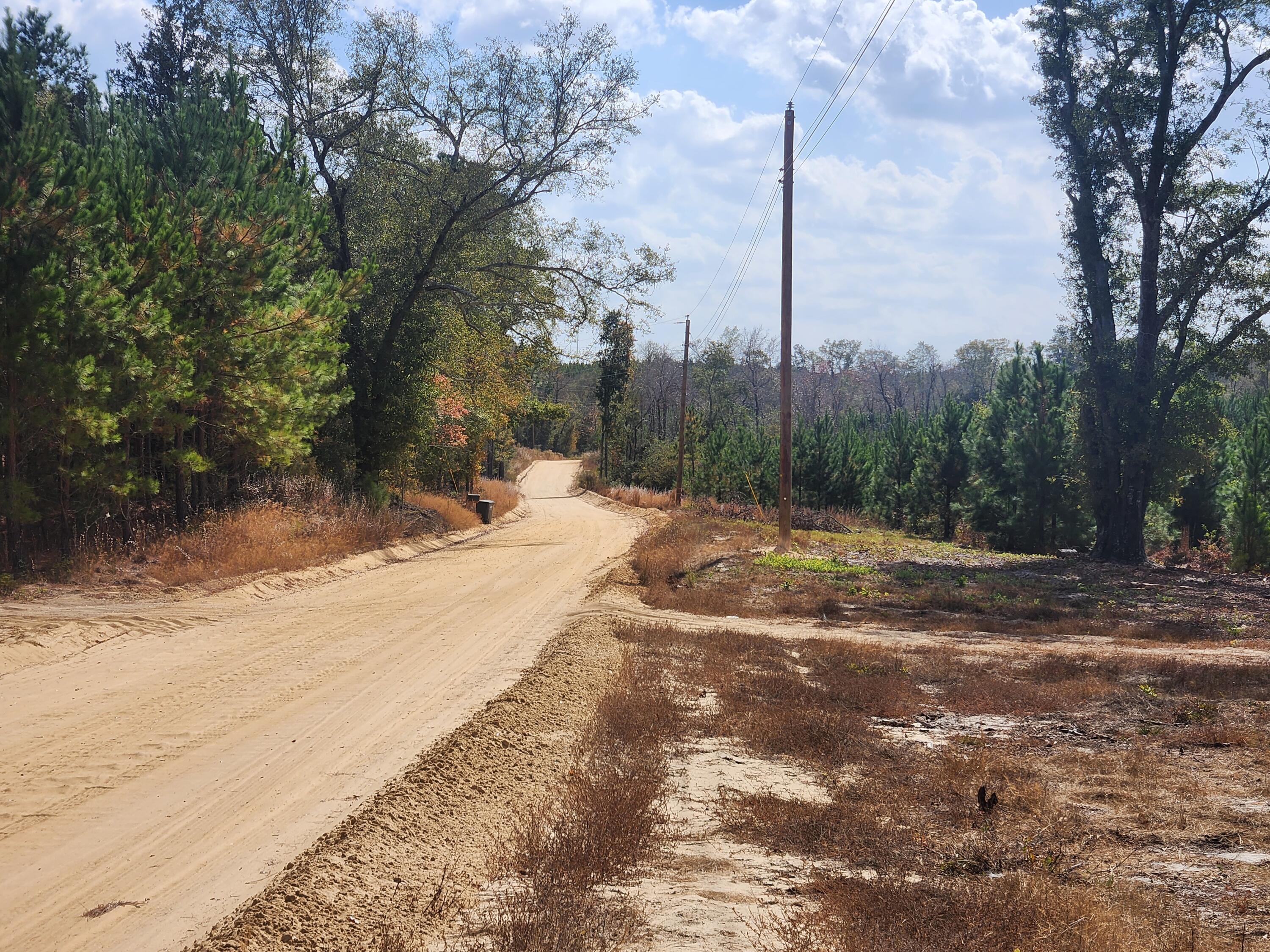 10 Kelly Day Road Pelion, SC 29123 - Photo 6 of 14 20241031_133439