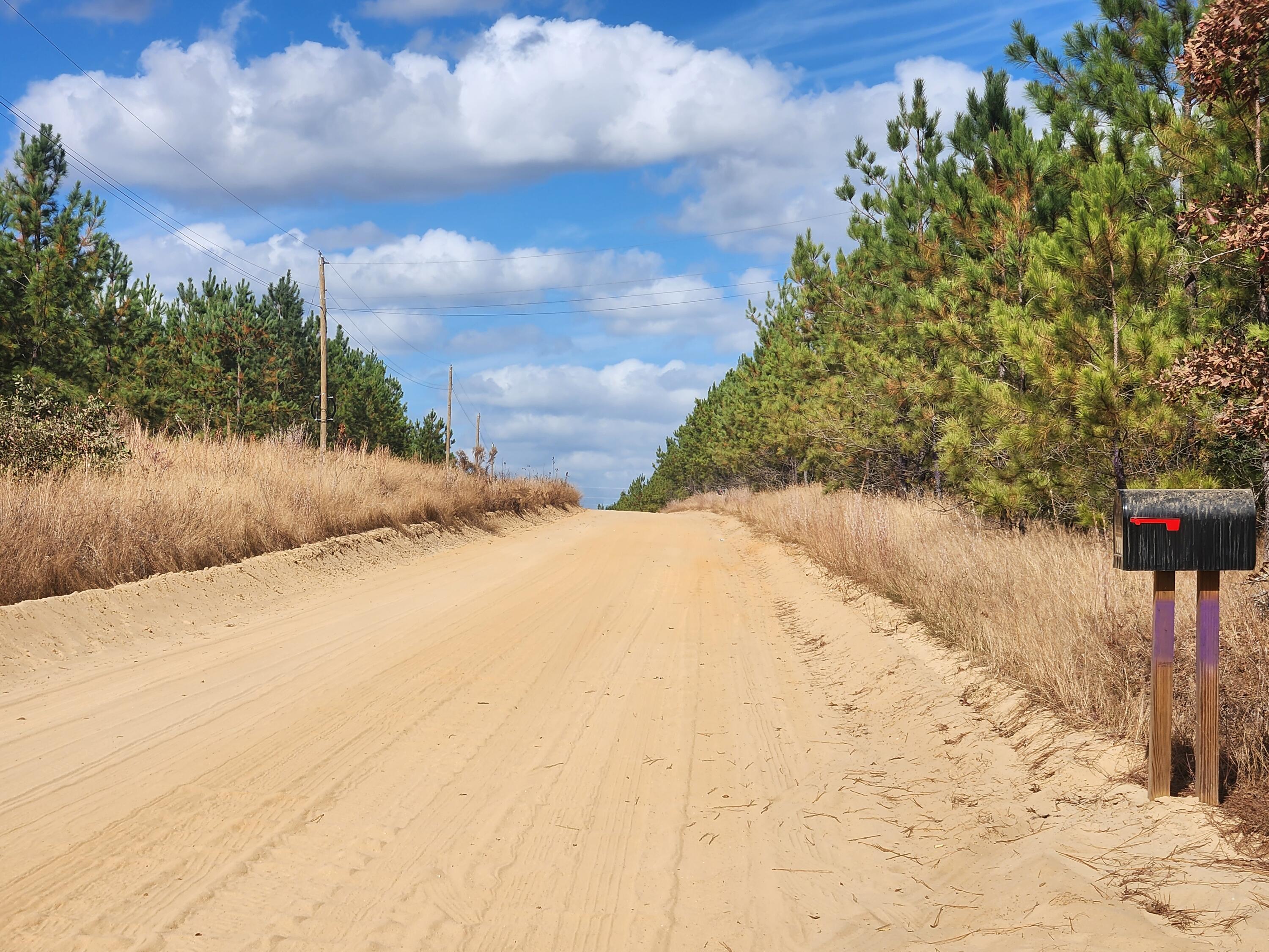 10 Kelly Day Road Pelion, SC 29123 - Photo 7 of 14 20241031_133453