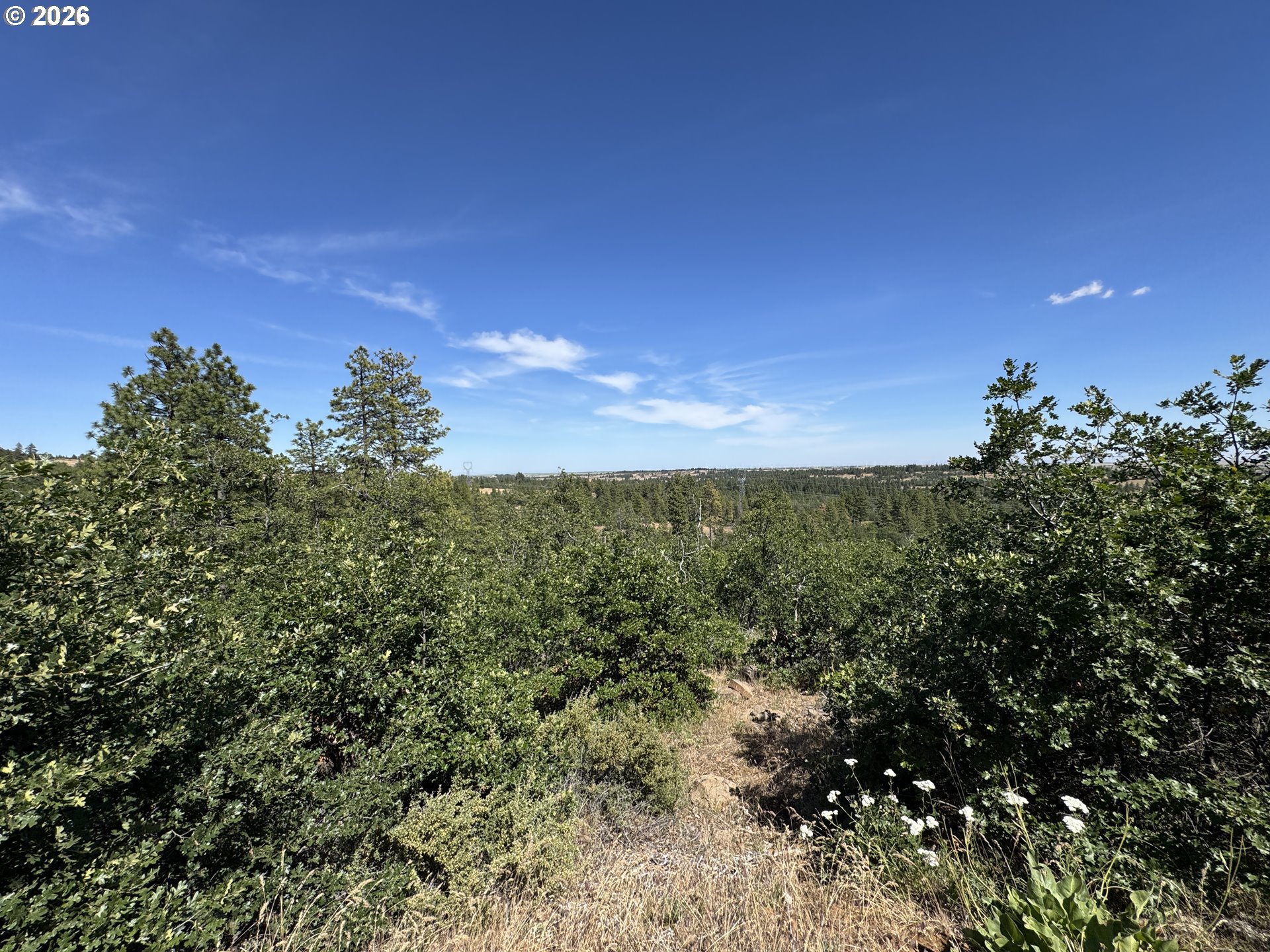 112 Timber Road Roosevelt, WA 99356 - Photo 5 of 31