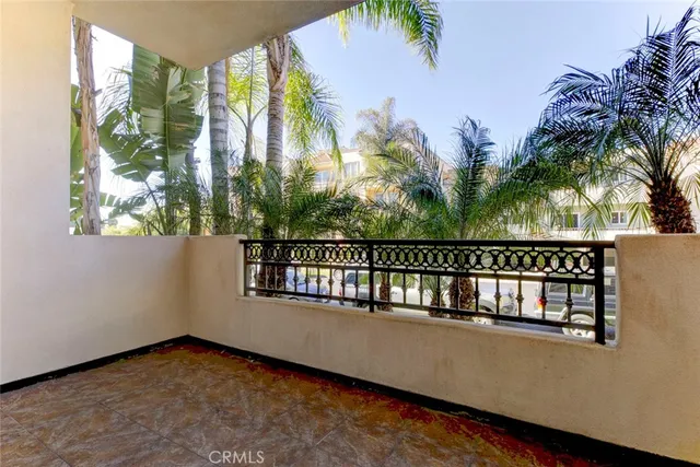 a view of roof deck with a large window and palm tree